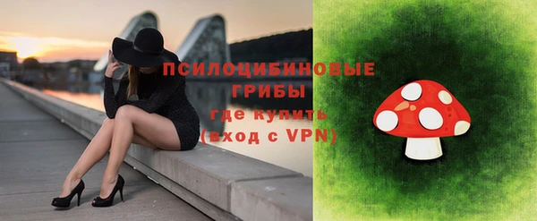 тгк Абаза