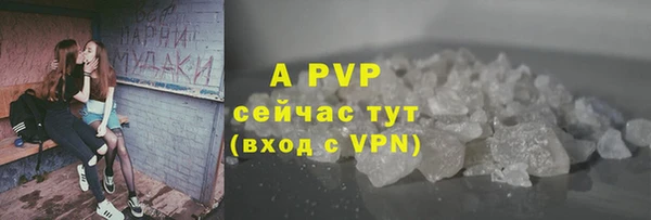 тгк Абаза