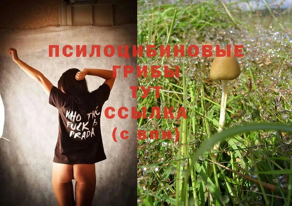 дмт Абдулино